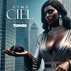 Gims - Ciel (Tomass Orchestal Intro) #TOP 56 HYPPEDIT