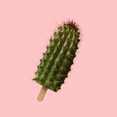 THIS BEAT IS CACTUS | ALEX BRASS SET