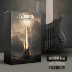 Overthrow Bass DI