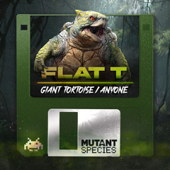 Giant Tortoise