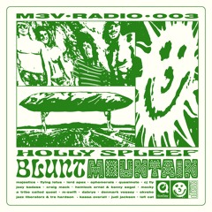 Blunt Mountain - Radioshow  x   Melt Triple Vision