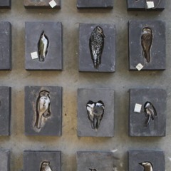 mind the gap, a noite é funda