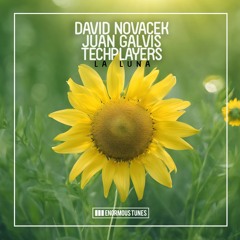 DAVID NOVACEK, JUAN GALVIS & TECHPLAYERS- La Luna (Original Mix)