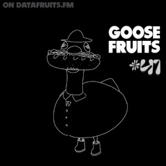 Goose Fruits 41: Guest Mix maiteu 5-17-2025