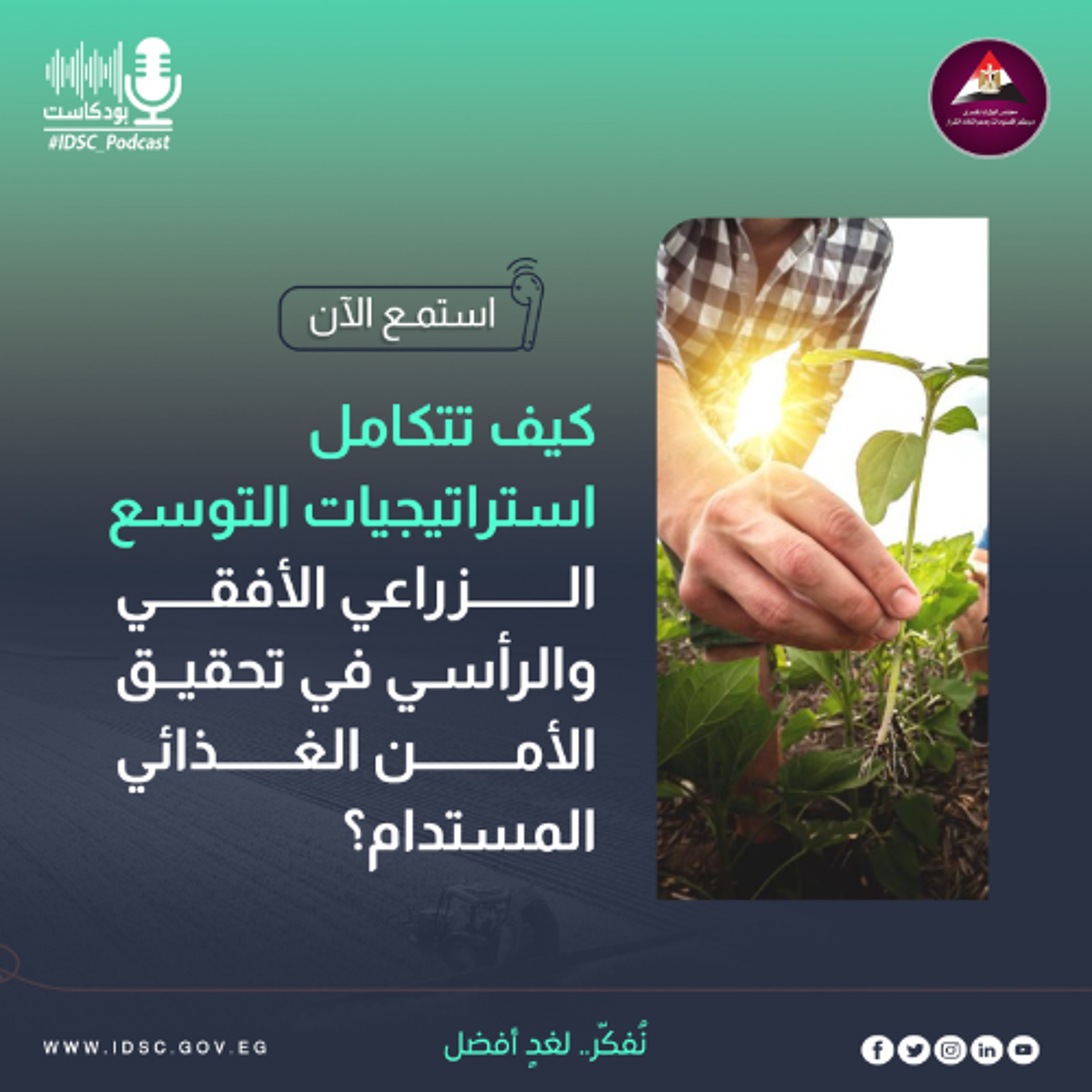 كيف تتكامل استراتيجيات التوسع الزراعي الأفقي والرأسي في تحقيق الأمن الغذائي المستدام؟