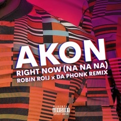 Akon - Right Now (Na Na Na) (Robin Roij & Da Phonk Remix)