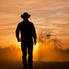 Into The Sunset