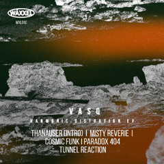 435# PREMIERE: VASQ - Paradox 404 [Wäxxel ]