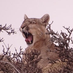 Techno PeakTime / Hypnotic Techno / Raw