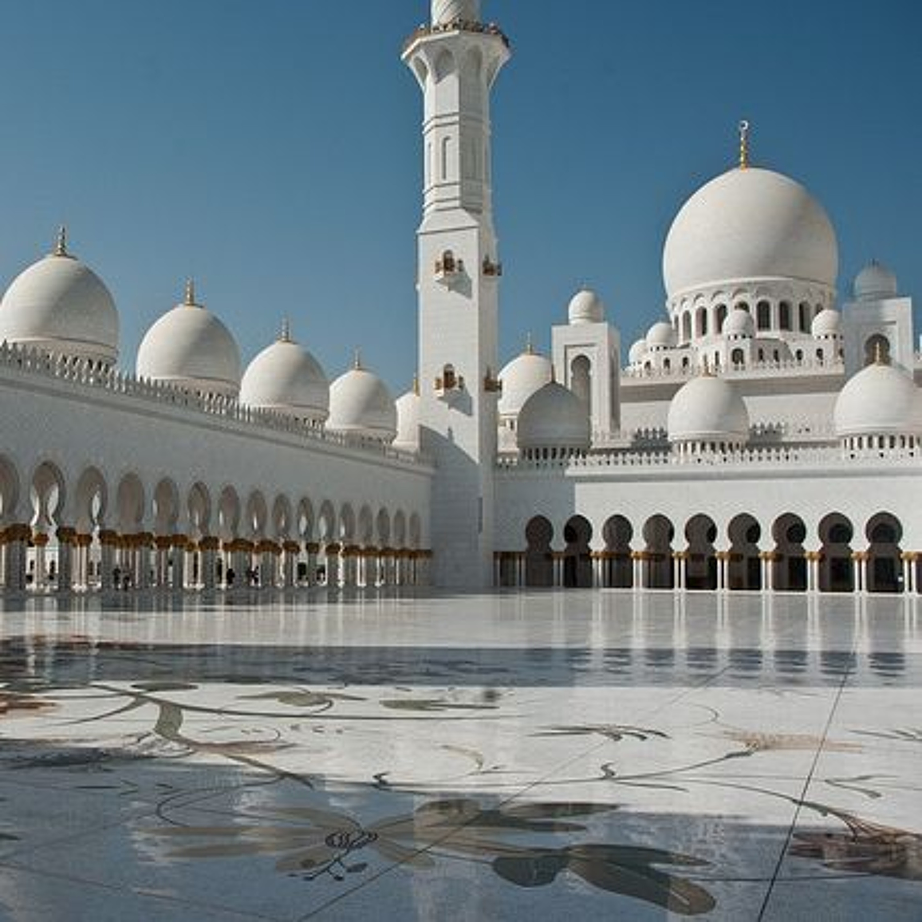 'The Descent From Meritocracy to Stupacracy' - The Tamar Yonah Show