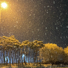 넌 나를 사랑해?(Feat.wa_k!t)