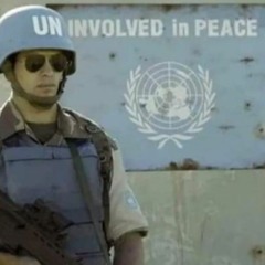 POLITIK IS A FANTASY