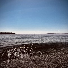 Like A Wave
