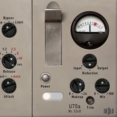 Acoustic Guitar Buss Dry