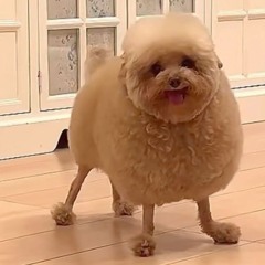 iiwannabe (Ryan Kimbrell Remix)