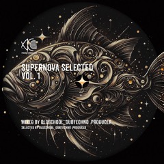 Supernova Selected Vol. 1 - Oldschool_Dubtechno .Producer