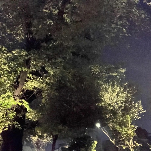 solo 2nd 19 april 2025 binaural