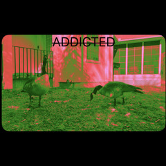 Addicted- Feat. Public R3vizion, Rylan Oz, Stormi, Pradaj