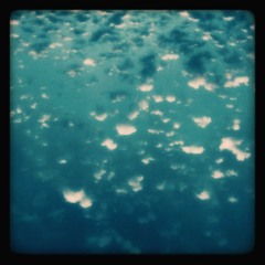 The Wind Just Wouldn't Stop