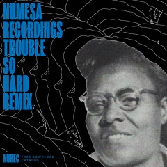 Numesa - Trouble so Hard Remix // Dub Troubles // Instrumental Mix (FREE DOWNLOAD)