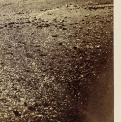 Nakba, Pt. II [olive trees shining in the reflection of your bombs]