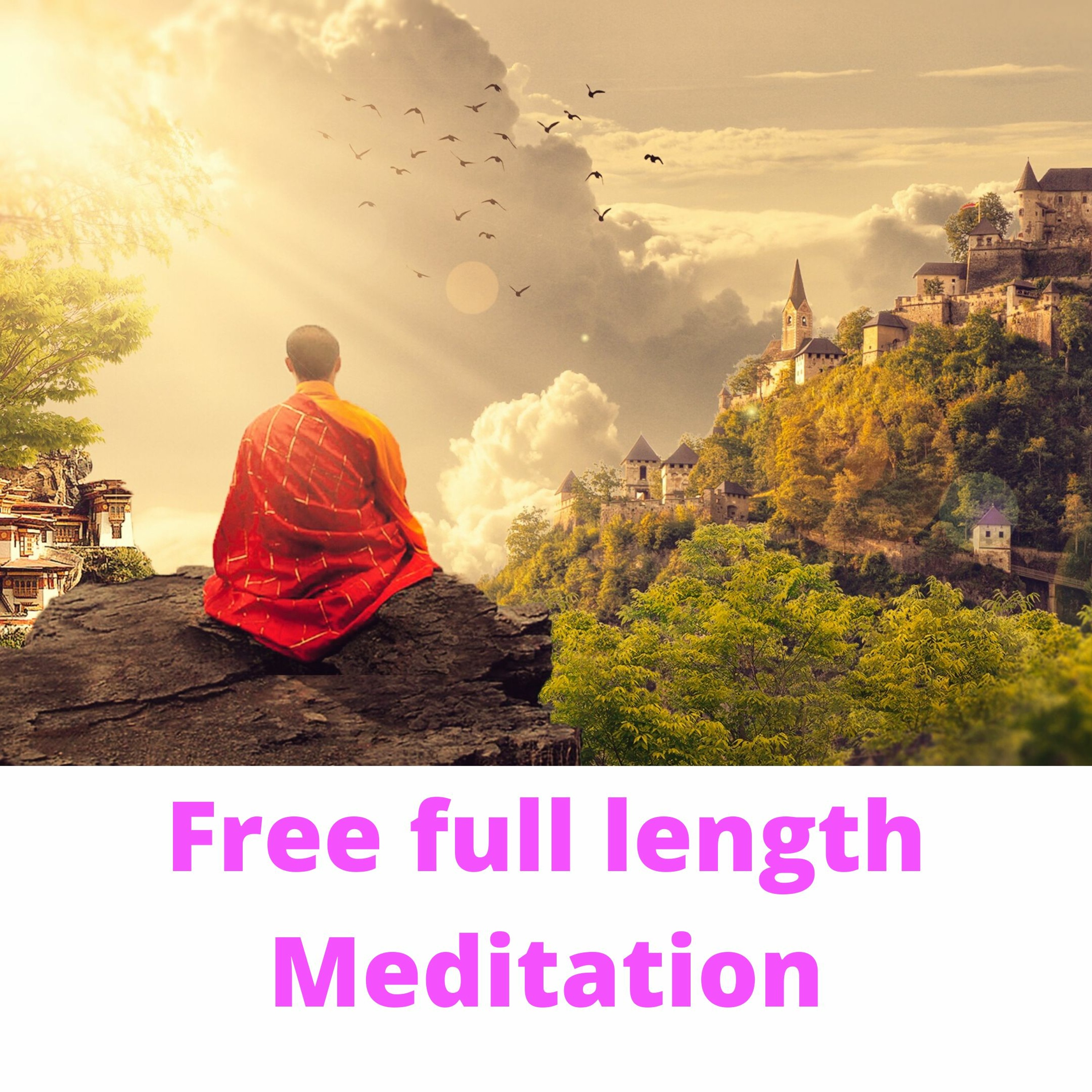 Quantum Consciousness Podcast