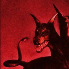 LIKEWISELUCY - BLOODHOUND