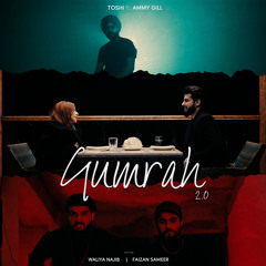 Gumrah pt. 2 - Toshi (ft. Ammy Gill)