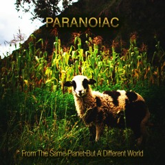 01 - Paranoiac - I Am Water