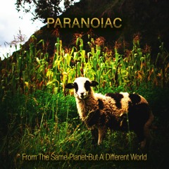 02 - Paranoiac - Where No One Knows About Me, And I Am Part Of Everyone