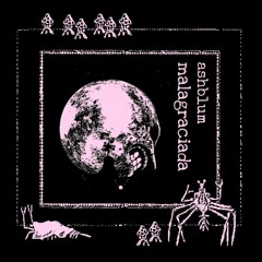 malagraciada - maketa