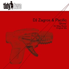 DJ Zagros & Pacific - Shine (Original Edit)