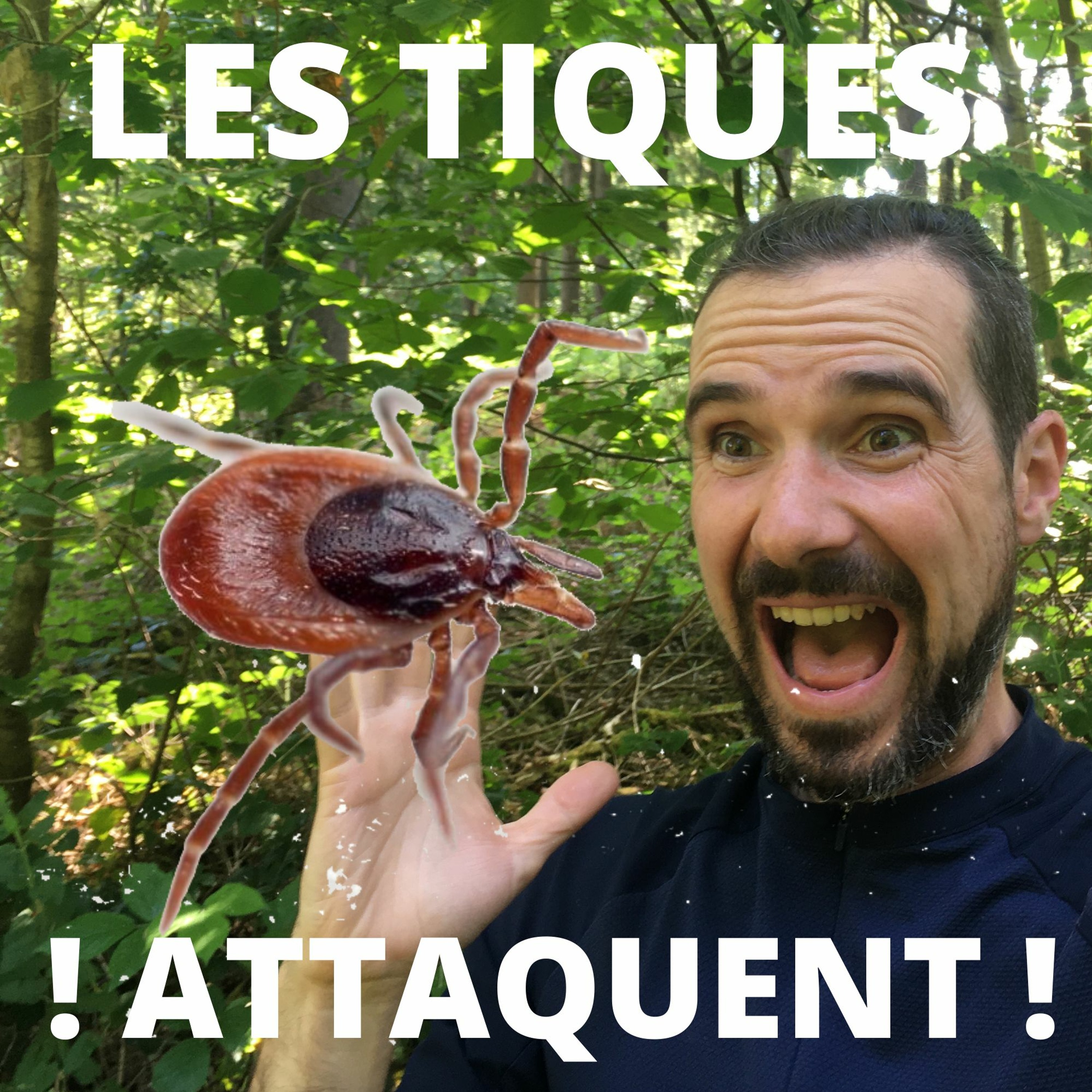 Le Banquier Randonneur