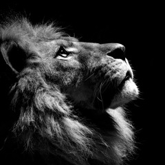 Tebra feat. Elly Ball - The Call (Original Mix)