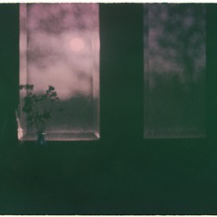 Muộn phiền theo giấc mơ? - Phúc.