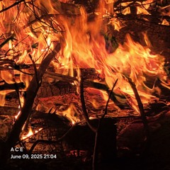 NE 86 (Instrumental)