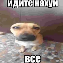 Сектор козы - я ебал козу