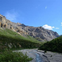Best Classic Atv Adventure With Back Country Dining Tours Review
