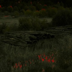 djdigest - ТЛШ 10УЗ Л2