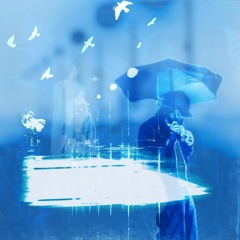 should i stay or should i go