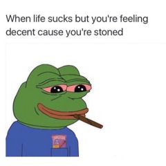 bassline & house 🌟