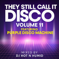 They Still Call It Disco Volume 11