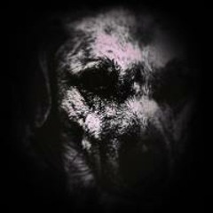 1NS0NM14C DNB