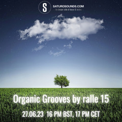 Organic Grooves by ralle 15, 27.06.23