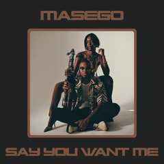 Say You Want Me (Single Version)