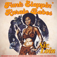 Funk Slappin' Karate Girls