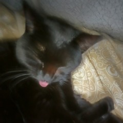 cashalot + ты улыбаешься