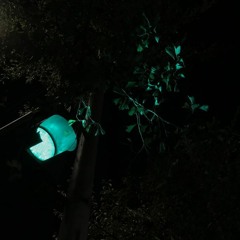 OliveㅣPaul blanco X Hash swanㅣType BeatㅣONETAKE