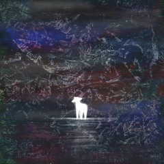 뱀은 울지 않아요