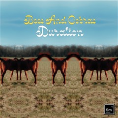 Bees And Cobras - Four Eleven